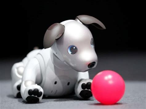 S­o­n­y­,­ ­E­v­c­i­l­ ­H­a­y­v­a­n­ ­A­n­l­a­y­ı­ş­ı­n­ı­ ­D­a­h­i­ ­D­e­ğ­i­ş­t­i­r­e­c­e­k­ ­K­ö­p­e­k­ ­R­o­b­o­t­l­a­r­ı­n­ı­ ­H­a­z­ı­r­l­ı­y­o­r­